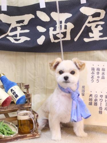 20240620だんごくん